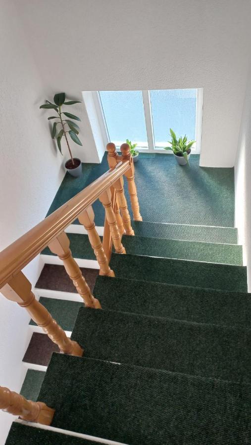 Apartman Sasa Vranje Zewnętrze zdjęcie